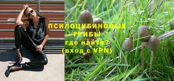 прущая мука Армянск