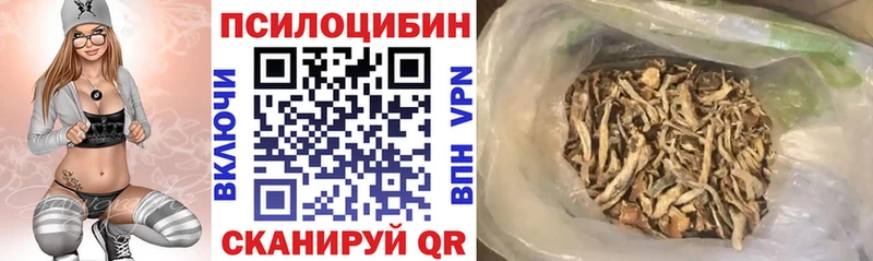 магазин продажи наркотиков Армянск Галлюциногенные грибы Psilocybe